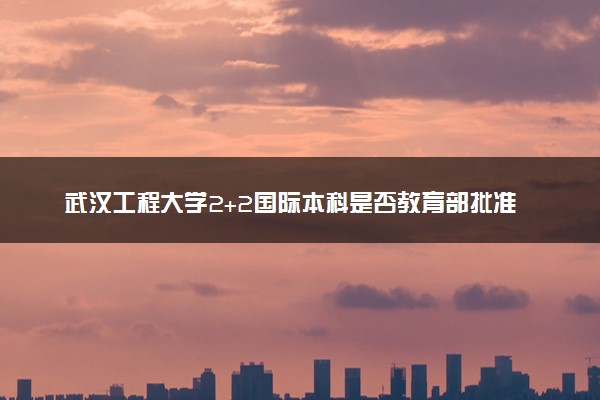 武汉工程大学2+2国际本科是否教育部批准