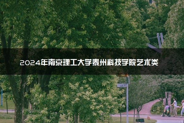 2024年南京理工大学泰州科技学院艺术类专业有哪些