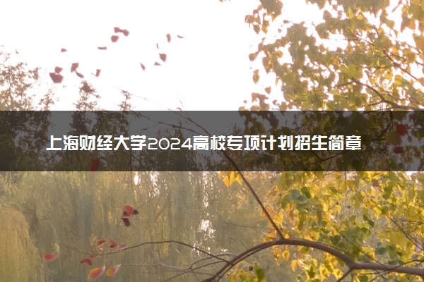 上海财经大学2024高校专项计划招生简章 招生专业及计划