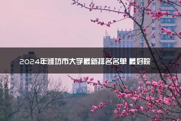 2024年潍坊市大学最新排名名单 最好院校排行榜