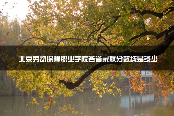 北京劳动保障职业学院各省录取分数线是多少 投档最低分及位次(2024年高考参考)