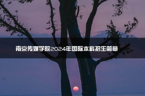 南京传媒学院2024年国际本科招生简章