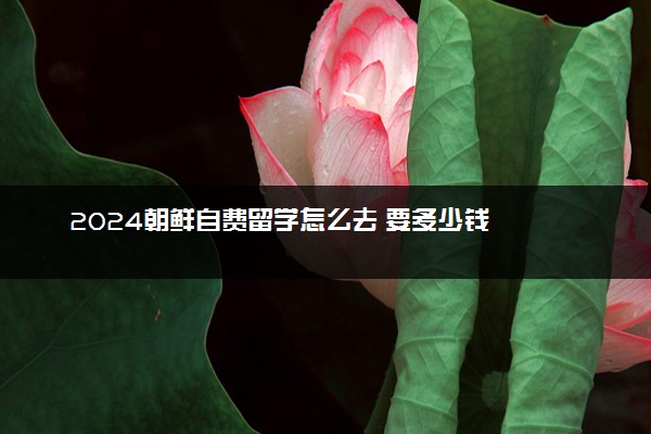 2024朝鲜自费留学怎么去 要多少钱