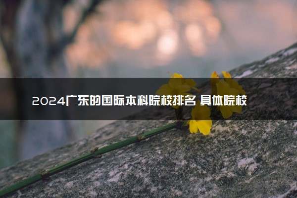2024广东的国际本科院校排名 具体院校名单一览