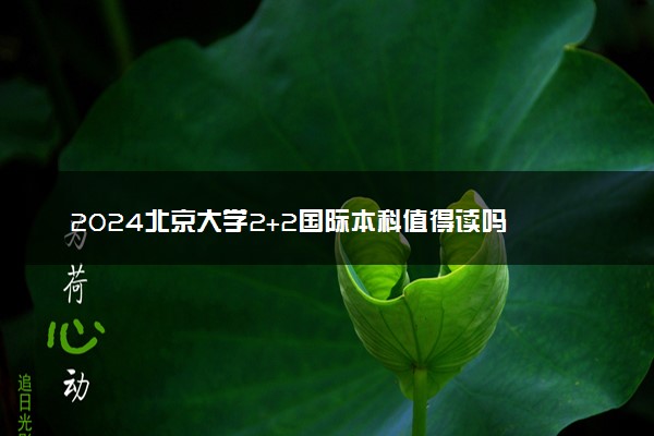 2024北京大学2+2国际本科值得读吗 学历认可吗