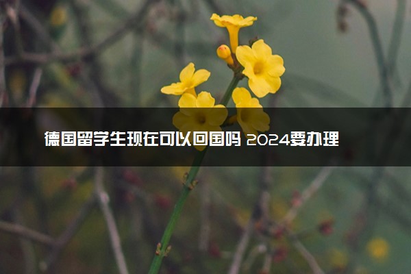 德国留学生现在可以回国吗 2024要办理什么手续