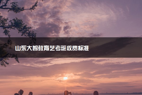 山东大智教育艺考班收费标准