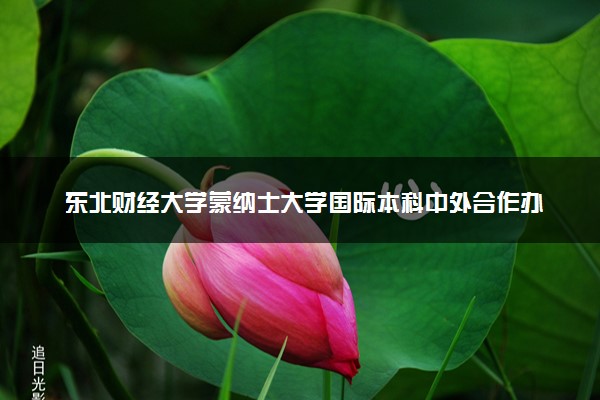 东北财经大学蒙纳士大学国际本科中外合作办学项目