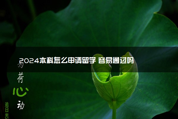2024本科怎么申请留学 容易通过吗
