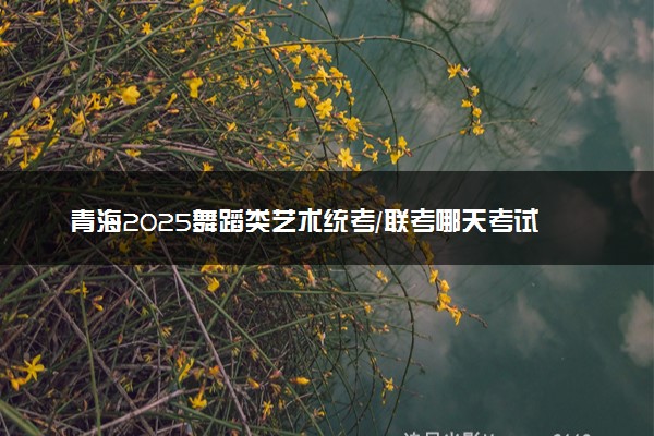 青海2025舞蹈类艺术统考/联考哪天考试 考完后多久出分