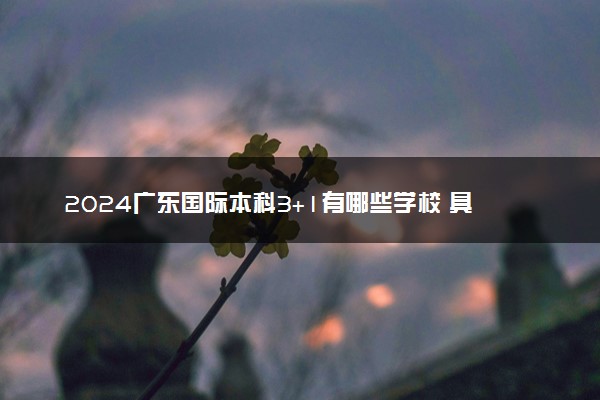 2024广东国际本科3+1有哪些学校 具体院校名单一览