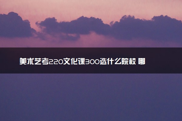 美术艺考220文化课300选什么院校 哪些学校好考