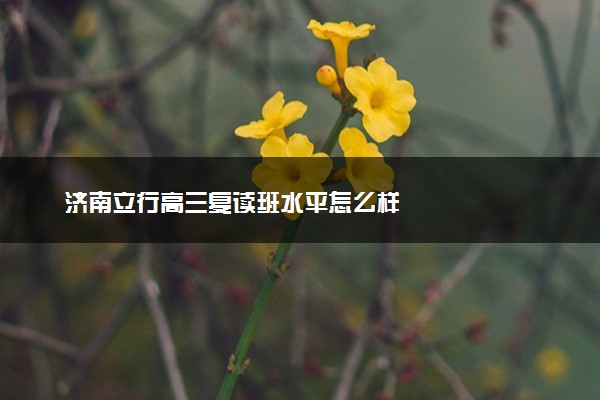 济南立行高三复读班水平怎么样