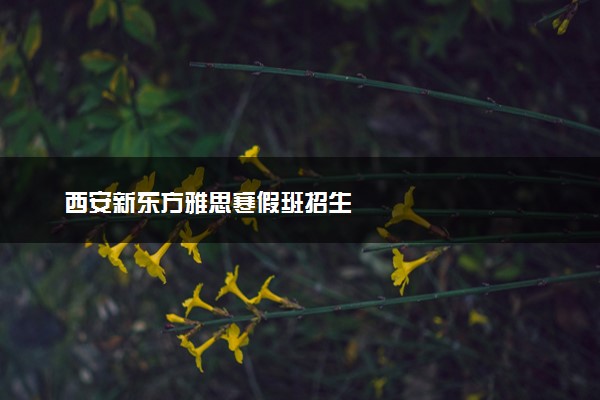 西安新东方雅思寒假班招生