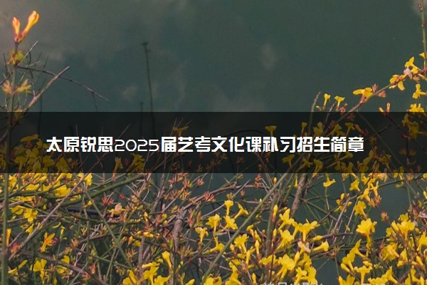 太原锐思2025届艺考文化课补习招生简章