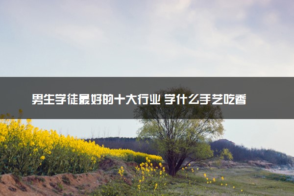 男生学徒最好的十大行业 学什么手艺吃香