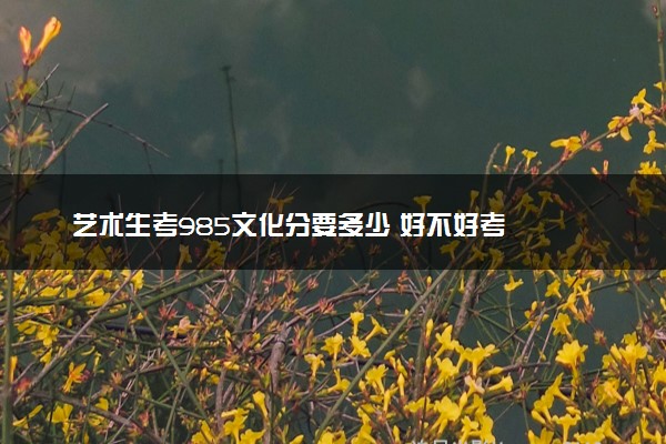 艺术生考985文化分要多少 好不好考