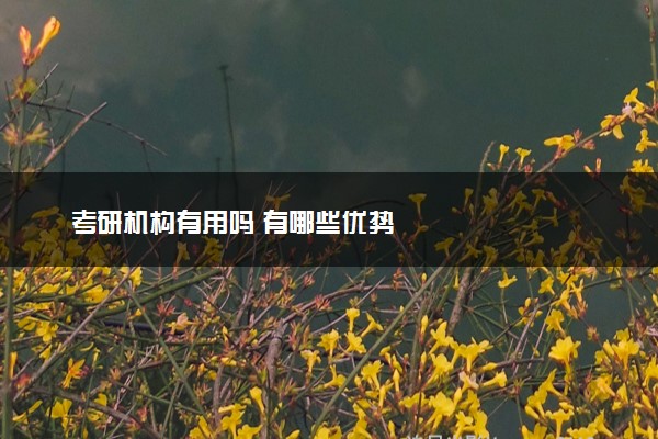 考研机构有用吗 有哪些优势