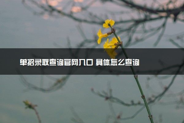 单招录取查询官网入口 具体怎么查询