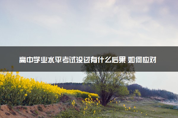 高中学业水平考试没过有什么后果 如何应对