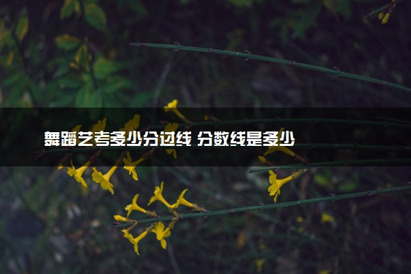舞蹈艺考多少分过线 分数线是多少