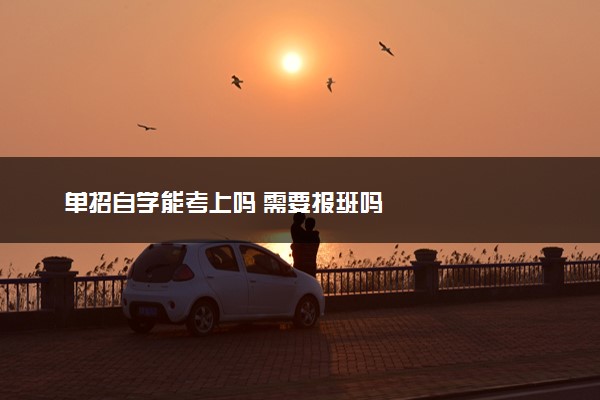单招自学能考上吗 需要报班吗