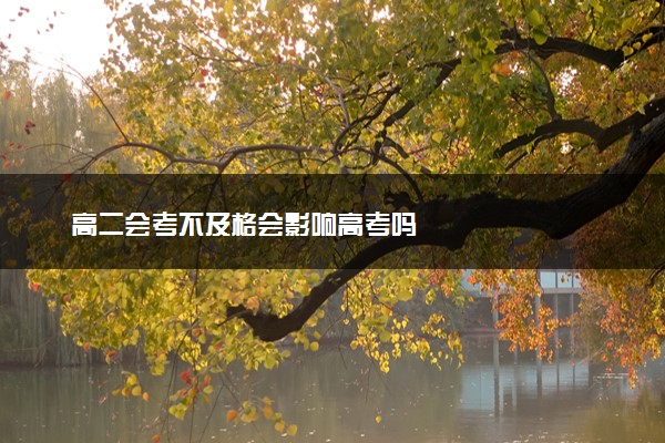 高二会考不及格会影响高考吗