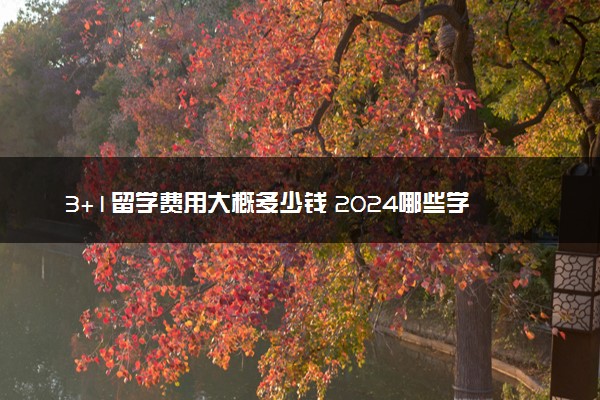 3+1留学费用大概多少钱 2024哪些学校学费低