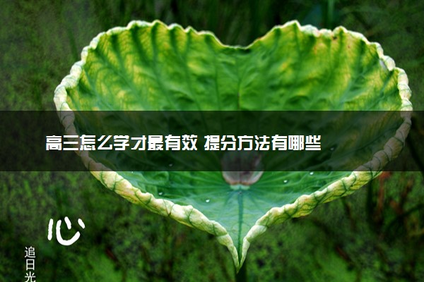 高三怎么学才最有效 提分方法有哪些