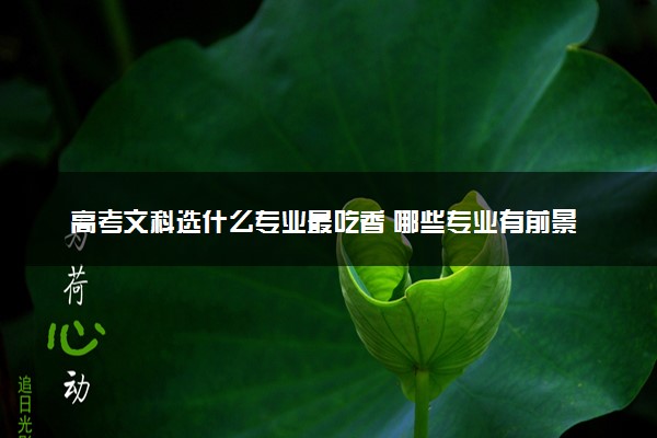 高考文科选什么专业最吃香 哪些专业有前景