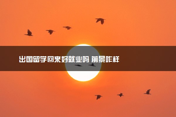 出国留学回来好就业吗 前景咋样