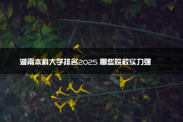 湖南本科大学排名2025 哪些院校实力强