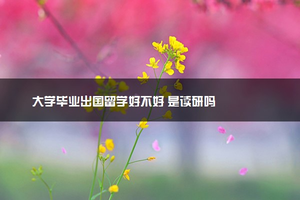 大学毕业出国留学好不好 是读研吗