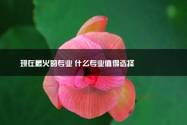 现在最火的专业 什么专业值得选择