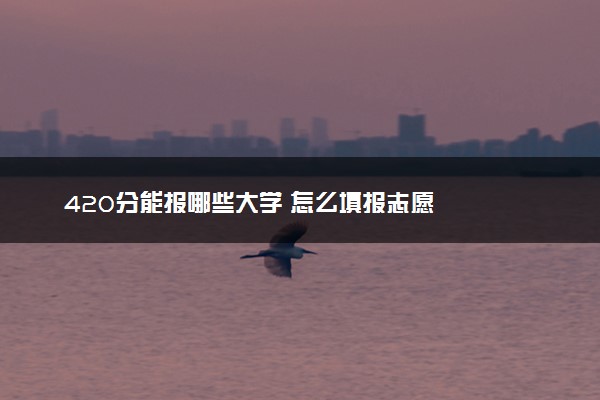 420分能报哪些大学 怎么填报志愿