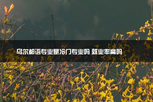 乌尔都语专业是冷门专业吗 就业率高吗