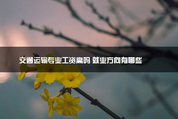 交通运输专业工资高吗 就业方向有哪些
