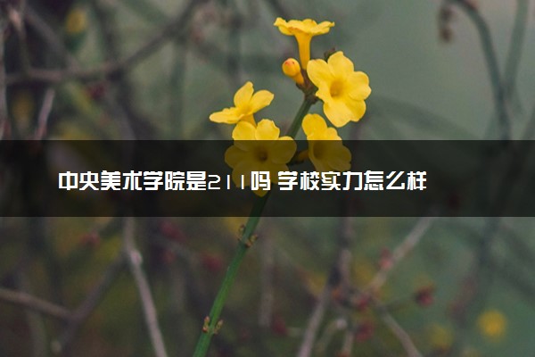 中央美术学院是211吗 学校实力怎么样