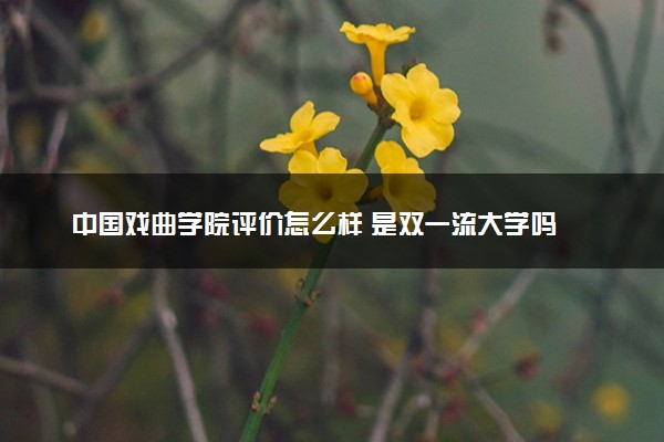 中国戏曲学院评价怎么样 是双一流大学吗