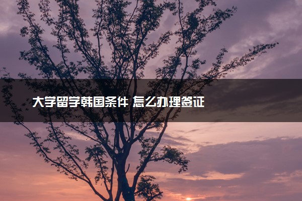 大学留学韩国条件 怎么办理签证