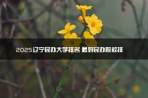 2025辽宁民办大学排名 最好民办院校排行榜