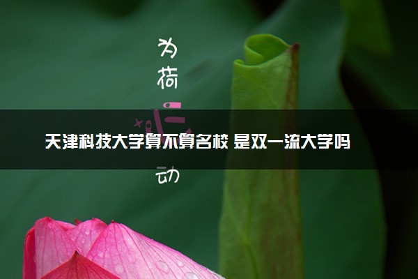 天津科技大学算不算名校 是双一流大学吗