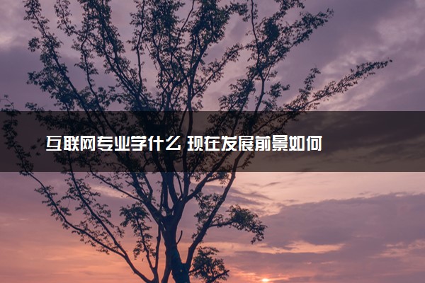 互联网专业学什么 现在发展前景如何