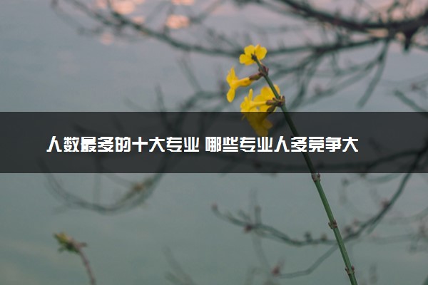 人数最多的十大专业 哪些专业人多竞争大