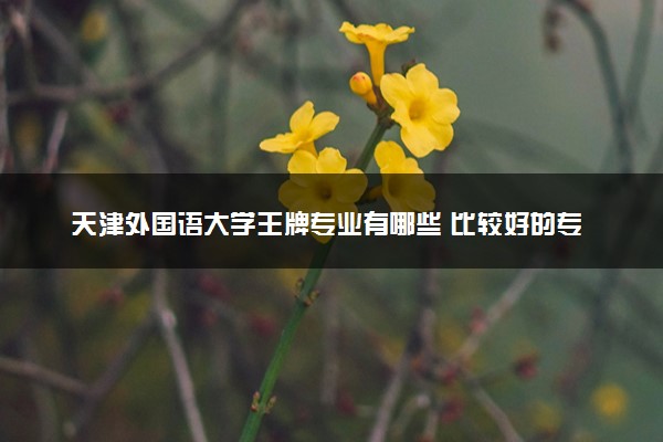 天津外国语大学王牌专业有哪些 比较好的专业推荐