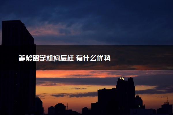 美龄留学机构怎样 有什么优势
