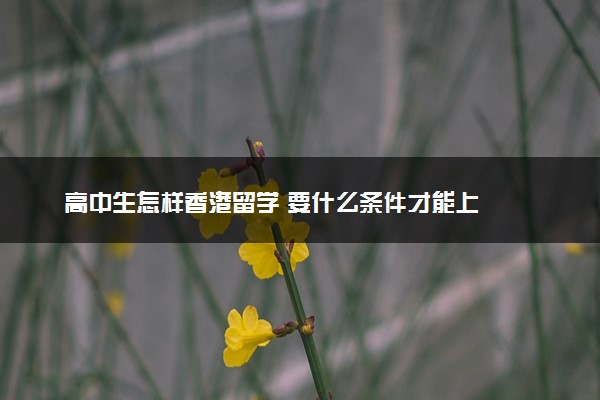 高中生怎样香港留学 要什么条件才能上