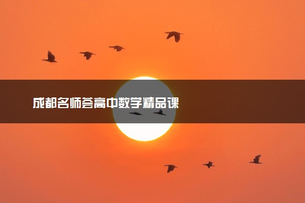 成都名师荟高中数学精品课