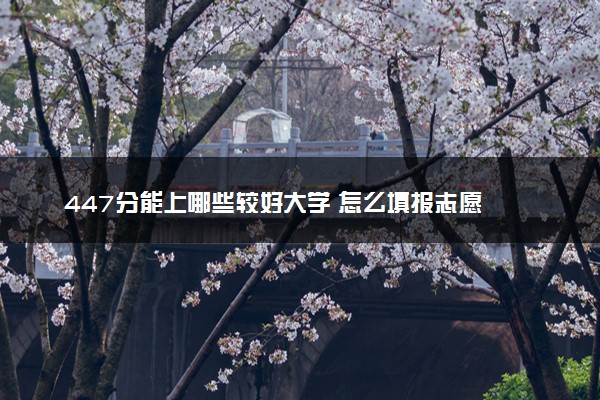 447分能上哪些较好大学 怎么填报志愿