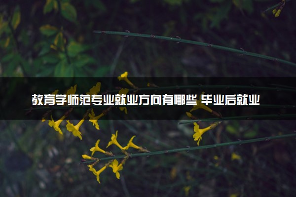 教育学师范专业就业方向有哪些 毕业后就业率高吗